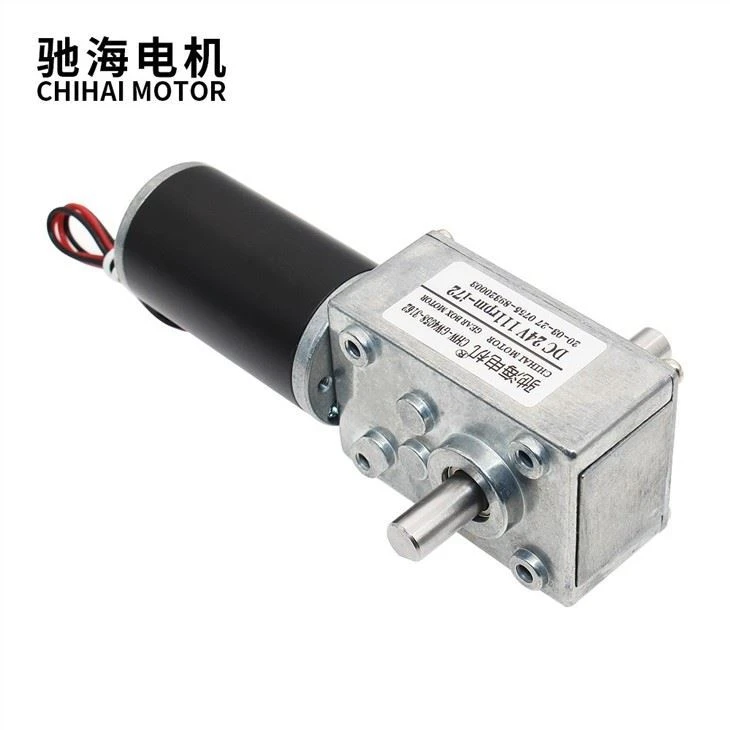 Dual Shaft CW / CCW 50kg.cm High Torque 31ZY Worm Gear Motor